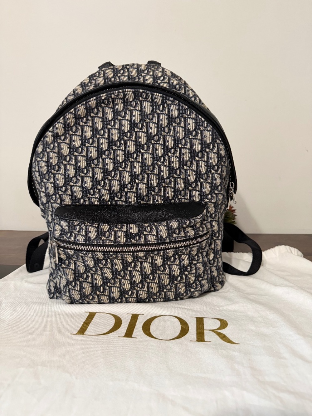 Dior Rider Backpack in Blue Oblique Canvas (MSRP $2900)